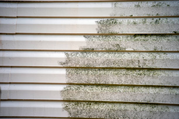 Affordable Siding Repair and Maintenance Services in Bellmead, TX