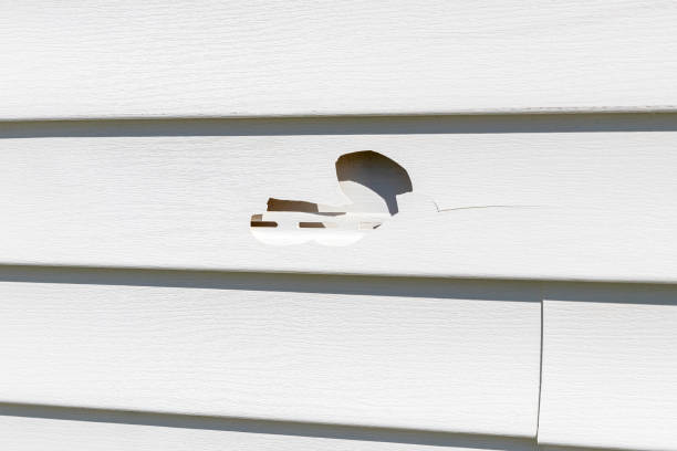 Best Insulated Siding Installation  in Bellmead, TX